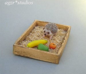 1:12 miniature hedgehog ooak dollhouse pet