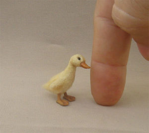 1:12 miniature duckling