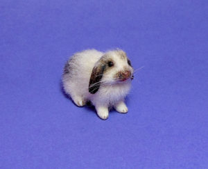 1:12 dollhouse furred miniature lop bunny handcrafted ooak